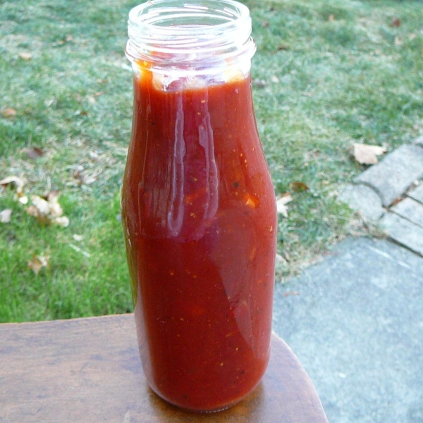 Mississippi Sweet and Sour Barbeque Sauce