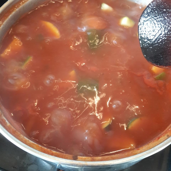 Easy Vegetable Soup III