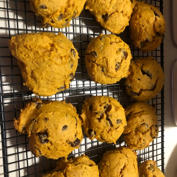 Pumpkin Chocolate Chip Cookies I