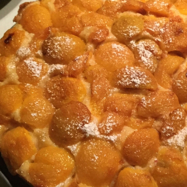 Plum Torte with Peeled Italian Plums