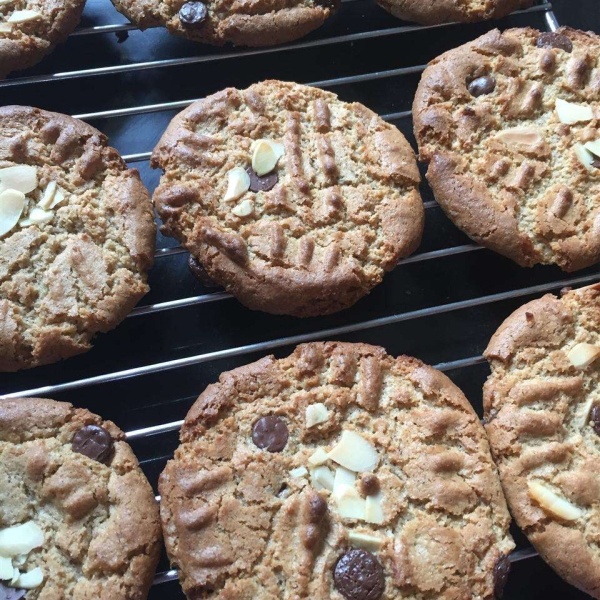 Chewy Almond Butter Cookies