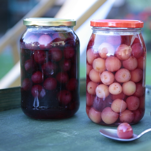 Preserved Cherries