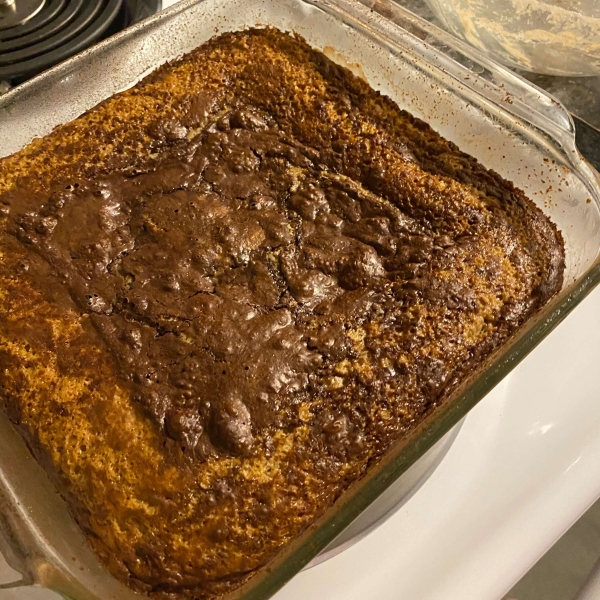 Hot Fudge Pudding Cake