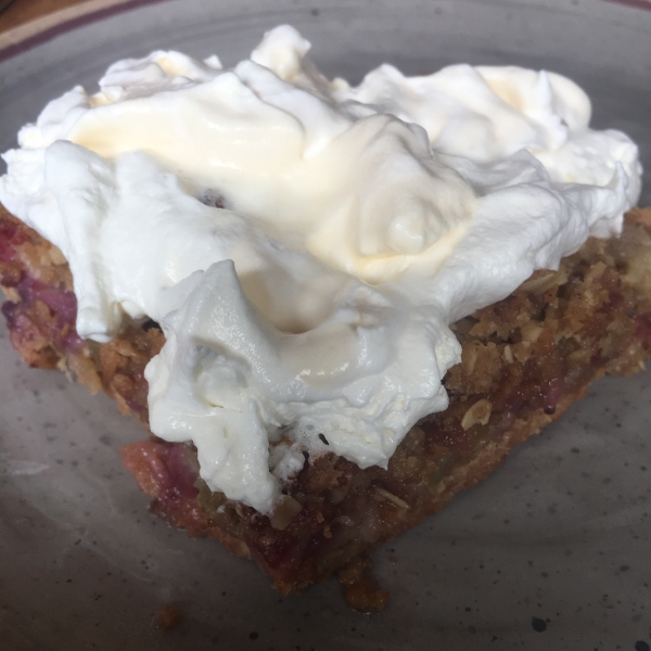 Very Berry Rhubarb Bars