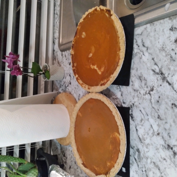 Paradise Pumpkin Pie I