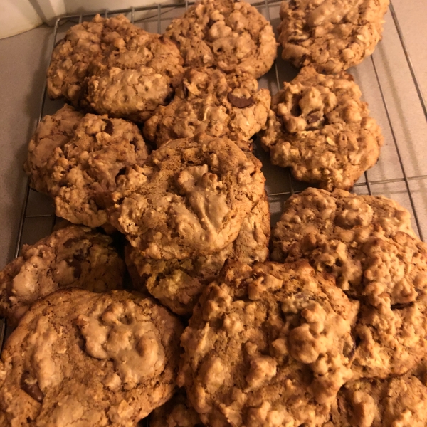 Vegan Chocolate Chip, Oatmeal, and Nut Cookies