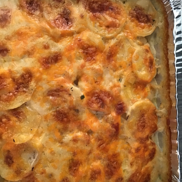 Roasted Garlic Scalloped Potatoes