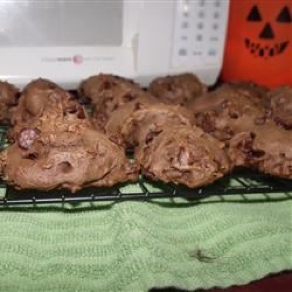 Absolutely Sinful Chocolate Chocolate Chip Cookies