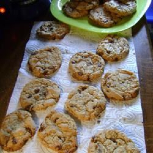 Absolutely Sinful Chocolate Chocolate Chip Cookies