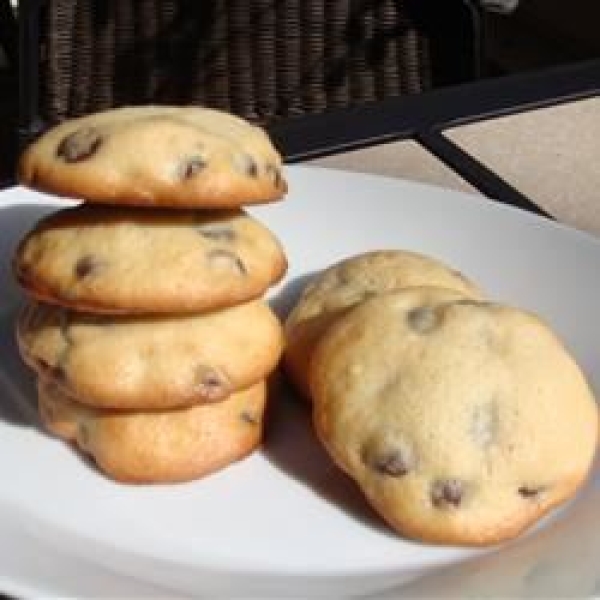 Absolutely Sinful Chocolate Chocolate Chip Cookies