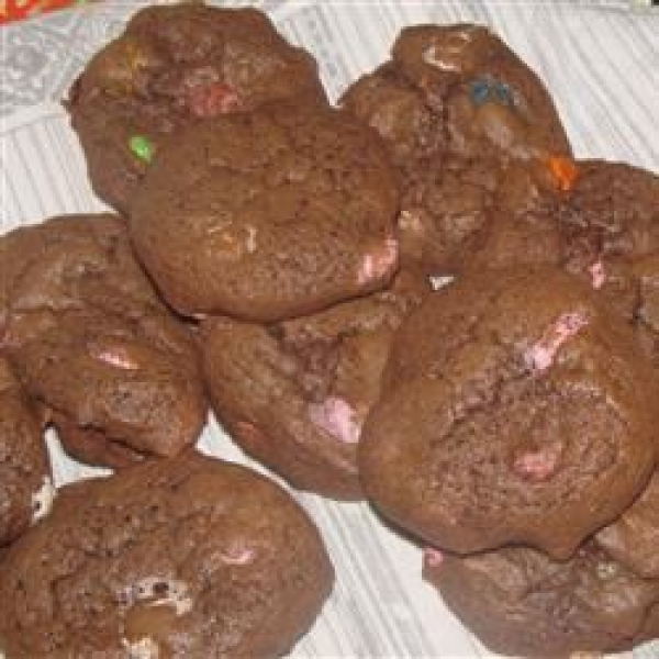 Absolutely Sinful Chocolate Chocolate Chip Cookies