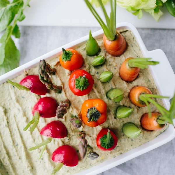 Spring Herb Hummus Vegetable Garden