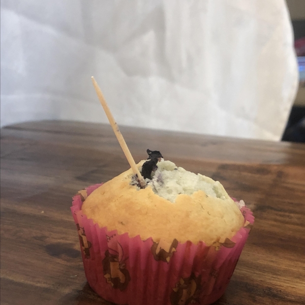 Easy Blueberry Muffins