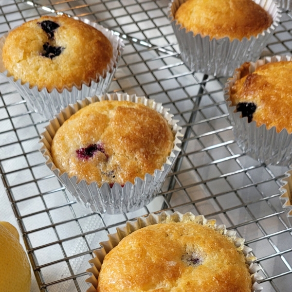 Lemon-Glazed Blueberry Cupcakes