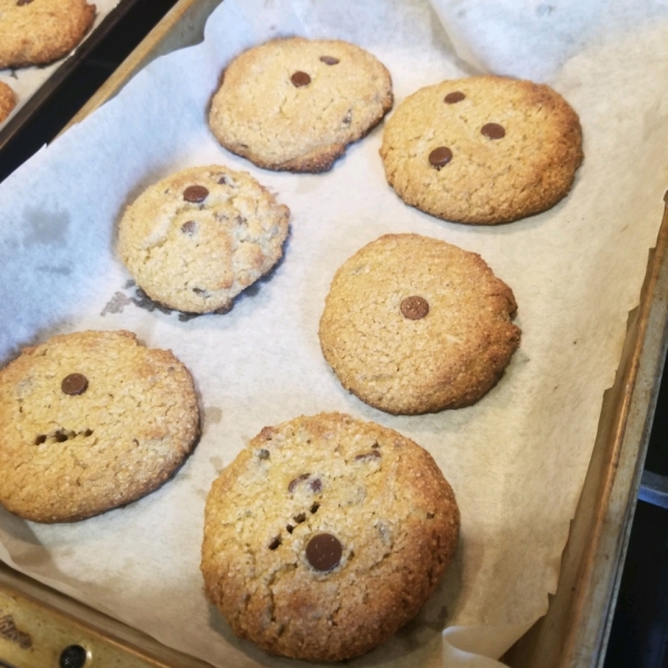 Coconut Almond Flour Chocolate Chip Cookies