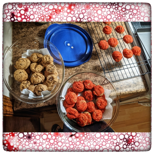 Coconut Almond Flour Chocolate Chip Cookies