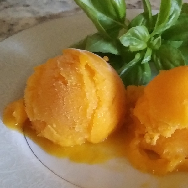 Mango Sorbet