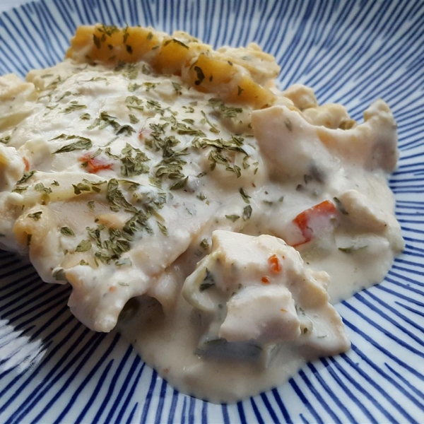 Elegant Chicken Lasagna With White Sauce