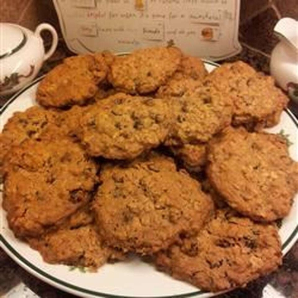 Gluten-Free Egg-free Oatmeal Chocolate Chip and Raisin Cookies