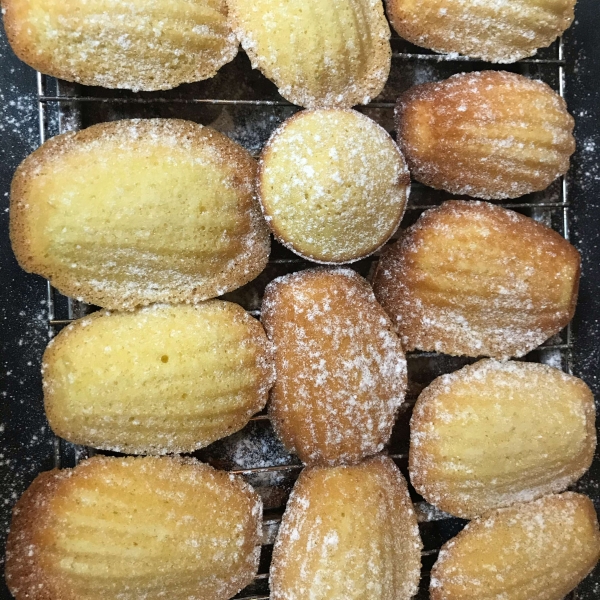 Best Madeleines (French Butter Cakes)