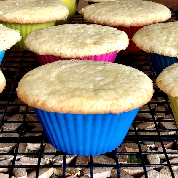 Vanilla Cupcakes