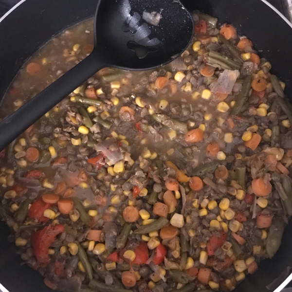 Spicy Lentil Vegetable Soup