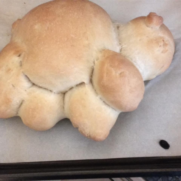 Alligator Animal Italian Bread