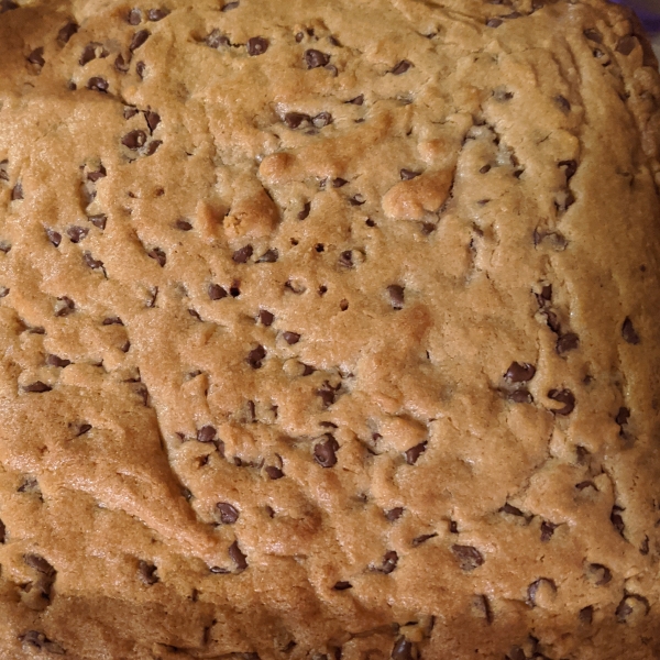 Peanut Butter Chocolate Chip Brownies