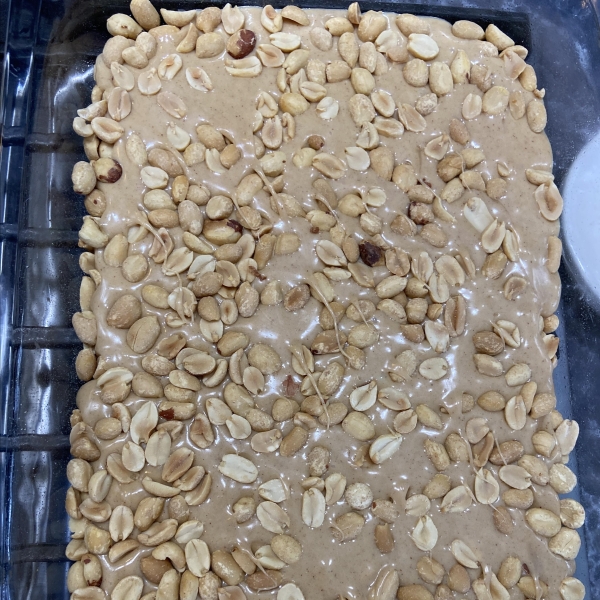 Salted Nut Roll Squares