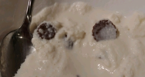 Easy Ice Cream in a Bag