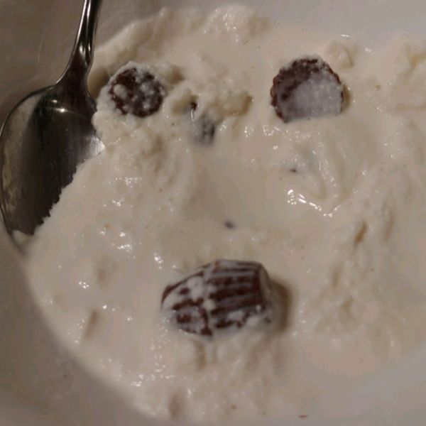 Easy Ice Cream in a Bag