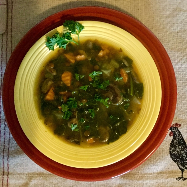 Lentil Power Soup