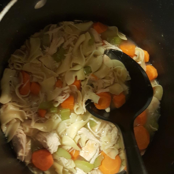 Sensational Chicken Noodle Soup