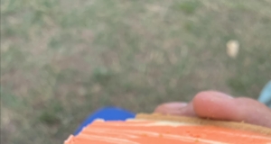Creamsicle® Cheesecake