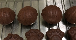 Chocolate Madeleines