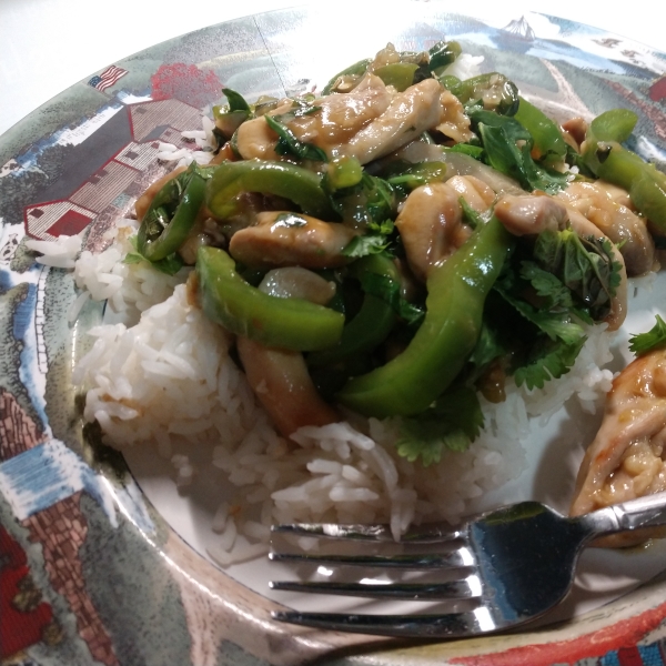 Spicy Thai Basil Chicken (Pad Krapow Gai)