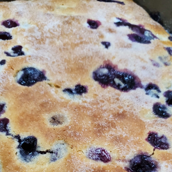 Alice's Easy Blueberry Cake