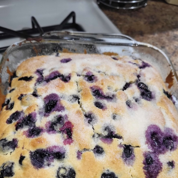 Alice's Easy Blueberry Cake