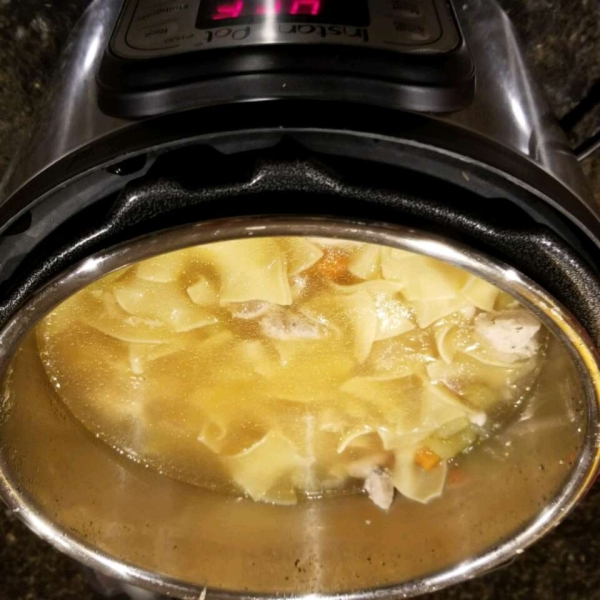 Instant Pot Chicken Noodle Soup