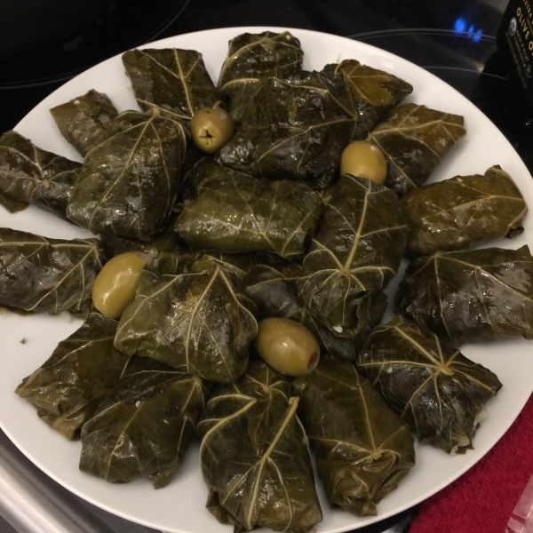 Grape Leaves Aleppo