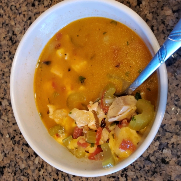 Mexican Chicken Soup