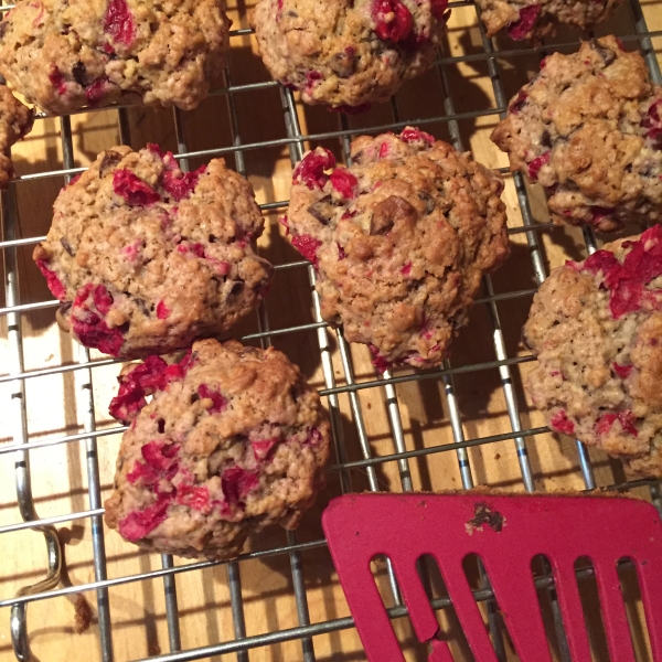 Cranberry Oats with Chocolate