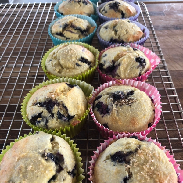 Delicious Gluten-Free Blueberry Corn Muffins