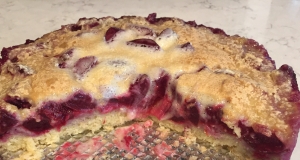 Plum Custard Kuchen