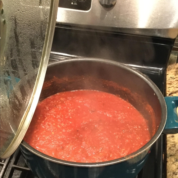 Amazing Ground Turkey Tomato Sauce