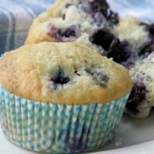 Low-Cholesterol Blueberry Muffins II