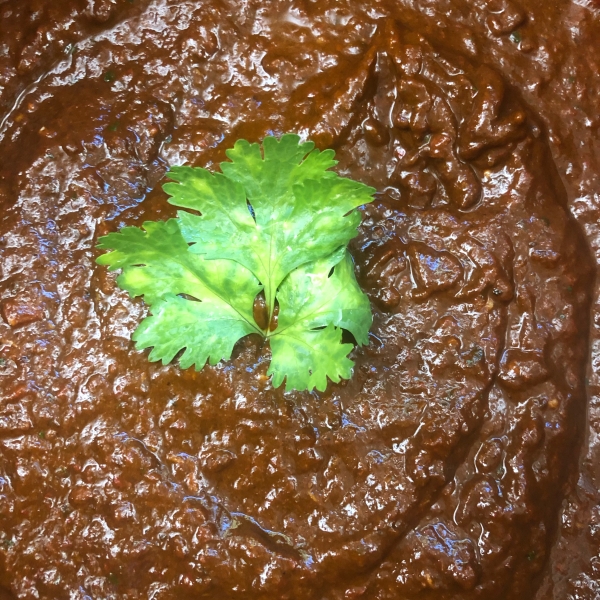 Mexican Mole Sauce