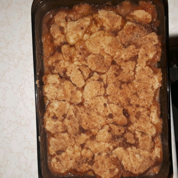 Wendy's Easy Blackberry Cobbler