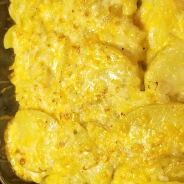 Best Instant Pot Scalloped Potatoes