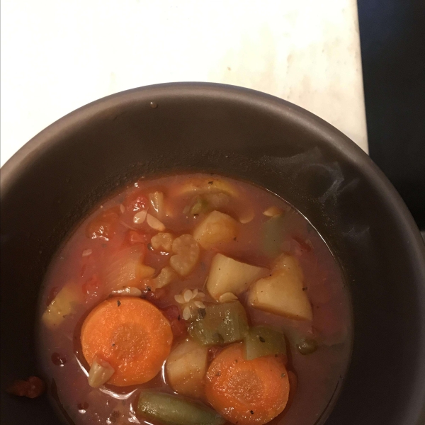 Quick and Easy Vegetable Soup